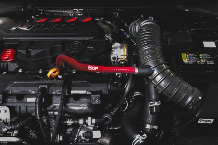 (image for) Forge Motorsports Elantra N Line 1.6 Oil Breather Hose 2021 – 2025