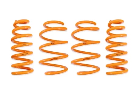 (image for) Ark Performance KIA EV6 AWD GT-F Lowering Springs 2022 – 2024