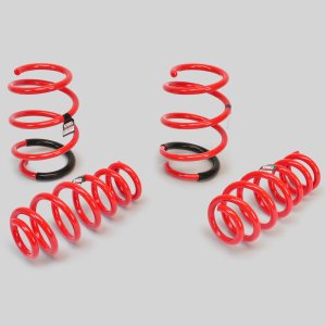 Storm Veloster N Lowering Springs 2019 – 2022