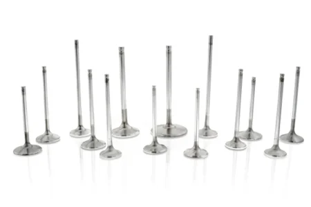 (image for) Ferrea Genesis Coupe 3.8 Compeition Plus Intake and Exhaust Valves (Standard) 2010+