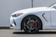 (image for) ARK Performance Genesis G70 3.3T GT-F Lowering Springs 2019 – 2026