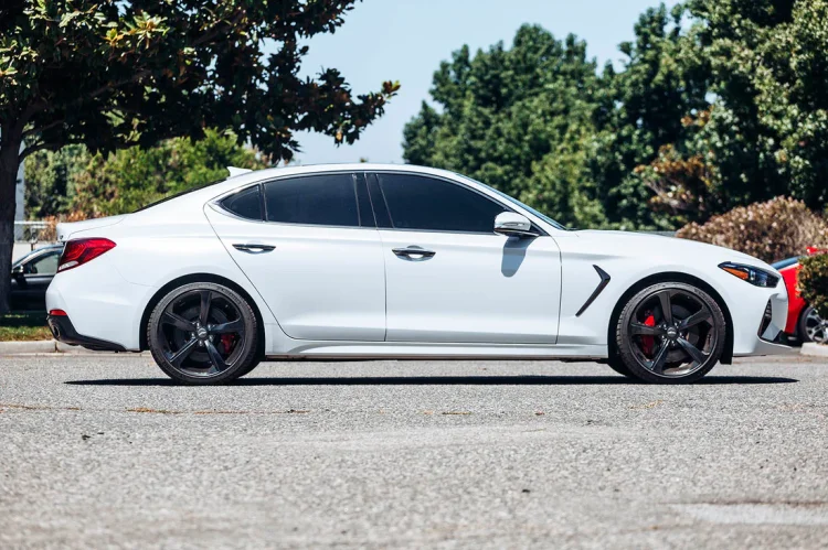 (image for) ARK Performance Genesis G70 3.3T GT-F Lowering Springs 2019 – 2026