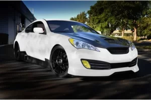 Ark Performance Genesis Coupe C-FX Fiberglass Hood 2010 - 2012