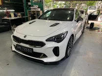 (image for) EPR Stinger Carbon Fiber Type M Front Lip 2018 – 2023