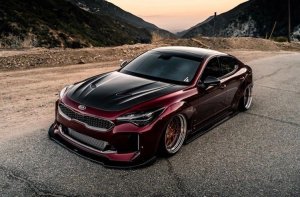 Strictly Business Motorsports KIA Stinger SBGT CF hood 2019 – 2023