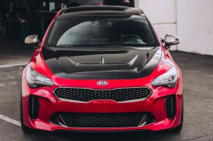 ARK Performance Kia Stinger S-FX Carbon Fiber Hood 2018 – 2023