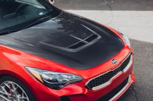 ARK Performance Kia Stinger S-FX Carbon Fiber Hood 2018 – 2023